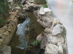 -森谷美食公园(杨行店)