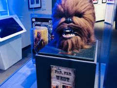 -布洛克德克萨斯国家历史博物馆