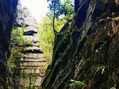 -梭布垭石林景区