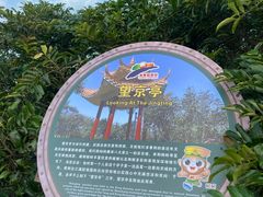 -海南铜鼓岭景区