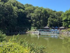 -陶祖圣境风景区