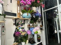 -FEI FEI FLOWER鲜花店·气球派对·宝宝宴布置(虹口德必运动Loft店)