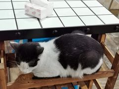 -小板凳(四公里店)