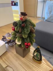 -ROYEA茹彦祛痘·问题肌肤修护中心