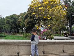 -荔湾湖公园