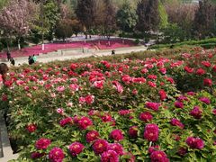 -陕西自然博物馆