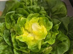 -九孔·筒骨莲藕汤锅(大明宫万达店)