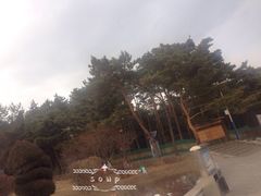 -帽儿山国家森林公园