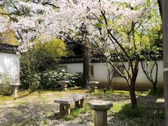-苏州上方山国家森林公园