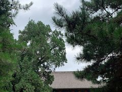-黄帝陵