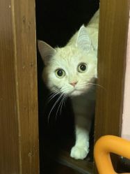 -齐伽生活馆·瑜伽·普拉提·阿育吠陀