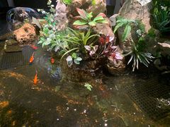 -映像威海·威海宴(威高广场店)