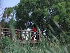 -野鸭湖国家湿地公园