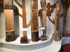 -宁波市保国寺古建筑博物馆