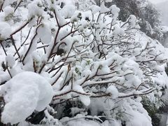 -紫金山天文台