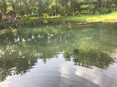 -长白岛森林公园