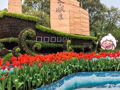 -南山植物园