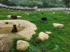 -西安秦岭野生动物园