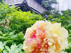 -龙华寺
