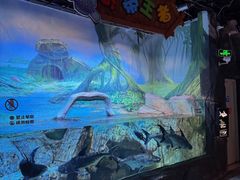 -顺德南宏海立方海洋公园