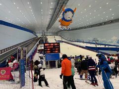 -哈尔滨热雪奇迹
