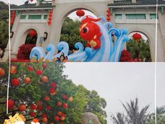 -中山公园