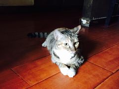 -吉友粥底火锅(方斜路店)