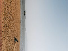 -白城沙滩