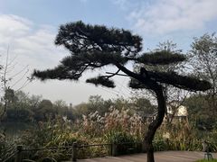 -新荣记(西溪湿地店)