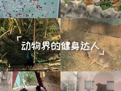 -青岛动物园