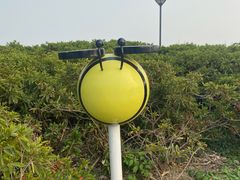 -贡湖湾湿地公园