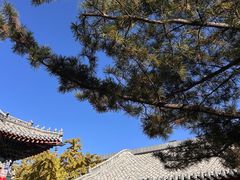 -长安寺