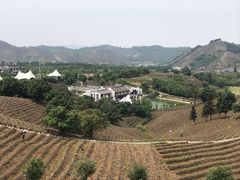 -帐篷客·溪龙茶谷度假酒店