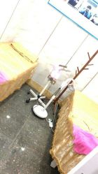 -痘院士祛痘美容皮肤管理