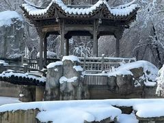 -雾凇岛