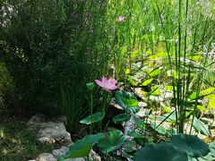 -武清南湖绿博园