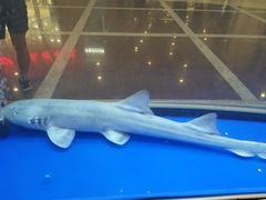 -保利MALL(天鹅湖店)