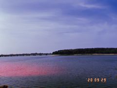 -丁香湖公园