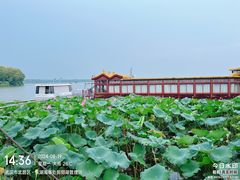 -东湖生态旅游风景区