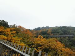 -福道