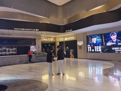 -万象影城(石家庄万象城IMAX激光店)