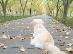 -畜牧兽医站(共江路店)