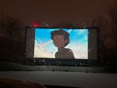 -枫花园汽车电影院(朝阳公园店)