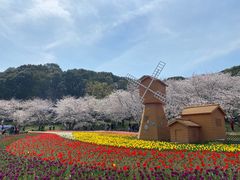 -苏州上方山国家森林公园