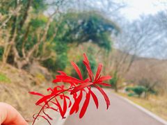 -南山风景名胜区