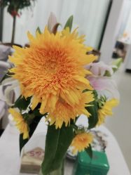 -SOR索尔祛痘·面部肌肤管理