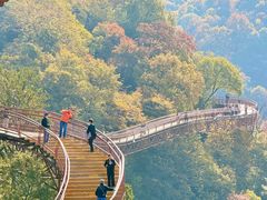 -少华山国家森林公园