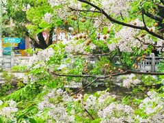 -桂林两江四湖景区