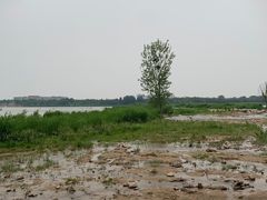 -绿堤公园