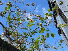 -丝绸小镇荻港古村